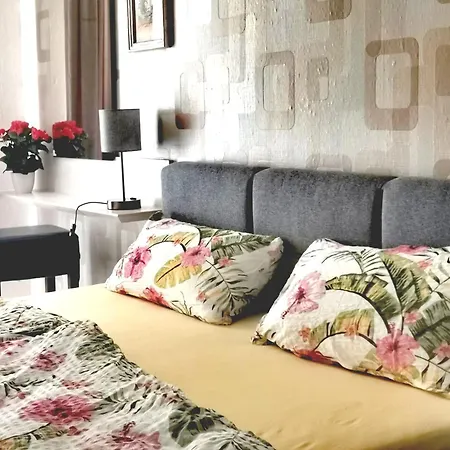 Appartement Vogelwarte - Gemuetlich, Gut Ausgestattet, Zentrumsnah Plauen