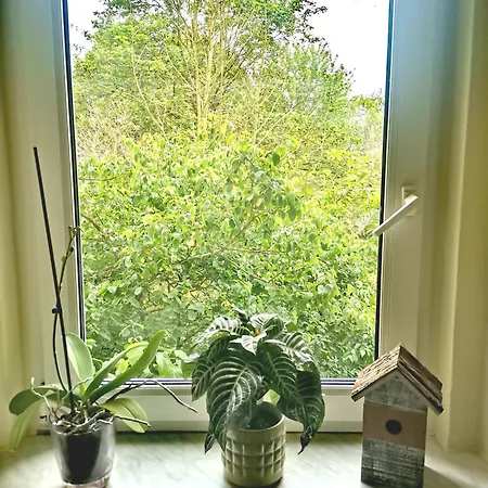 Vogelwarte - Gemuetlich, Gut Ausgestattet, Zentrumsnah Appartement Plauen