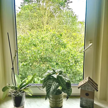 Vogelwarte Apartment Plauen