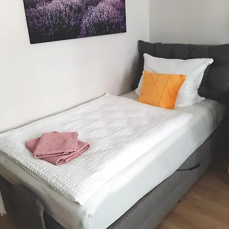 Appartement Vogelwarte - Gemuetlich, Gut Ausgestattet, Zentrumsnah Plauen