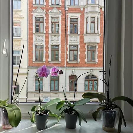 Vogelwarte - Gemuetlich, Gut Ausgestattet, Zentrumsnah Appartement *